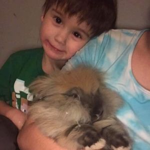 Meet your Posher, Susan